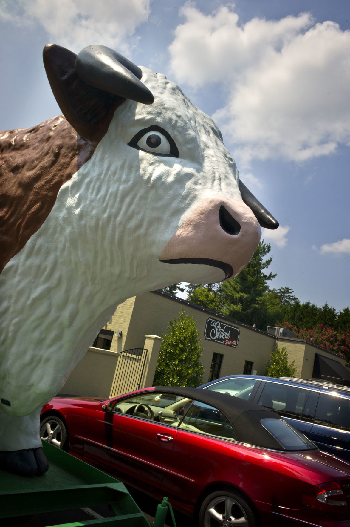 MASCOT